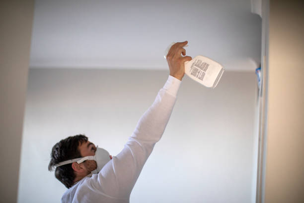 Best Mold Damage Repair  in Aurora, MN