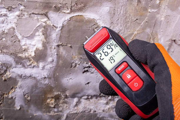 Best Water Damage Restoration  in Aurora, MN