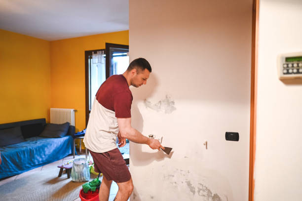 Best Toxic Mold Removal  in Aurora, MN