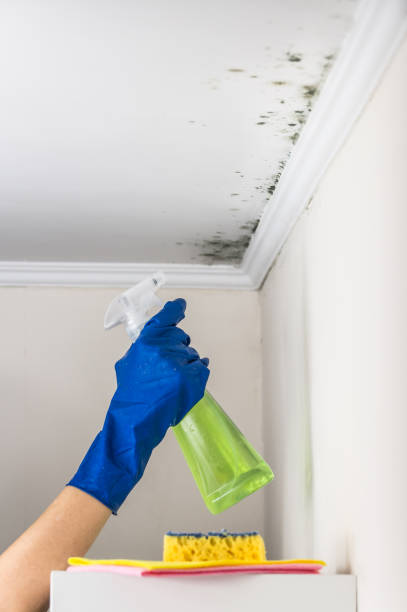 Crawl Space Mold Removal in Aurora, MN